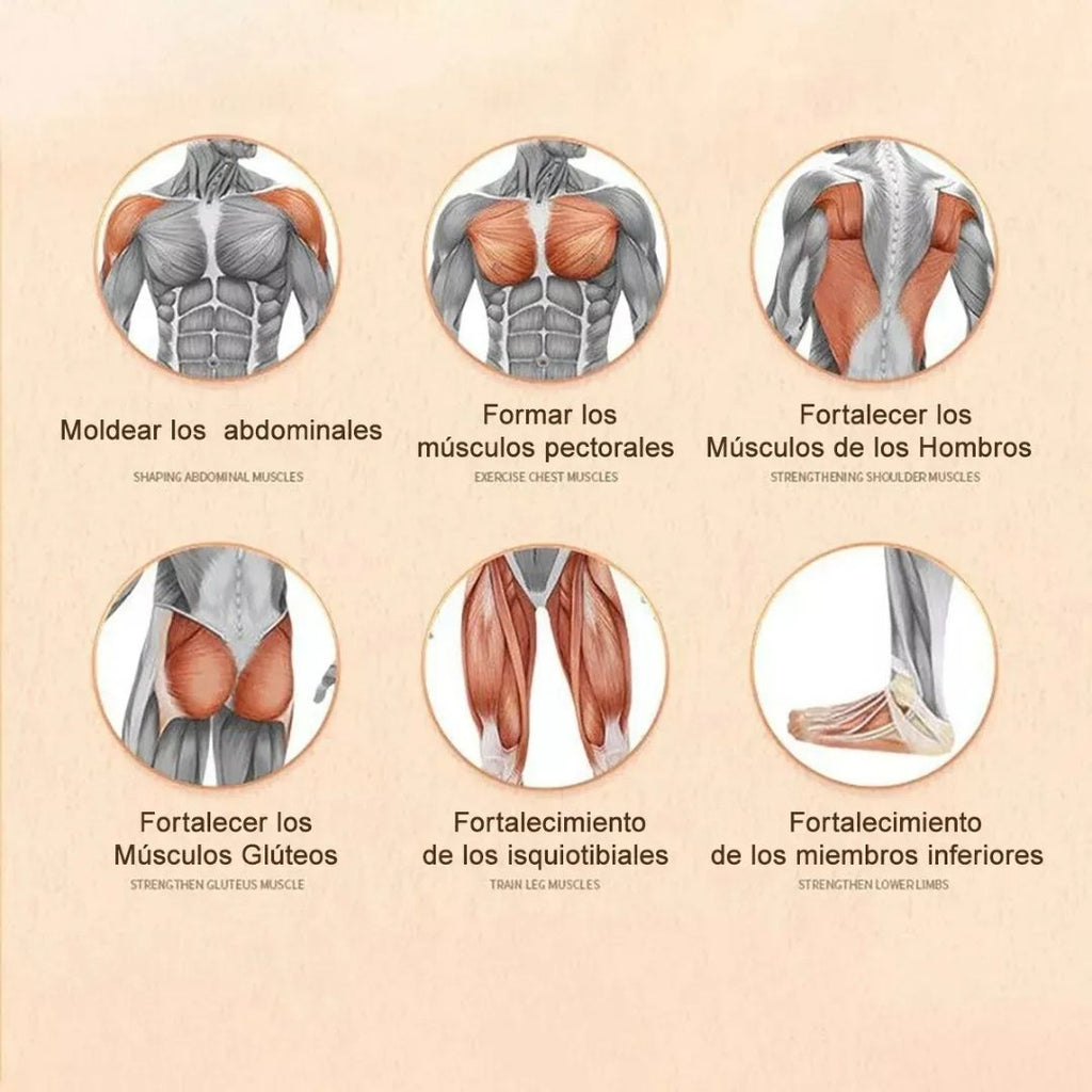 AbSmart Pro Roller - Rueda Abdominal con Rebote Automatico