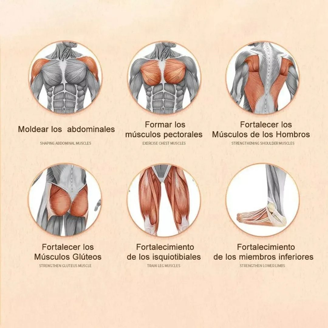 AbSmart Pro Roller - Rueda Abdominal con Rebote Automatico